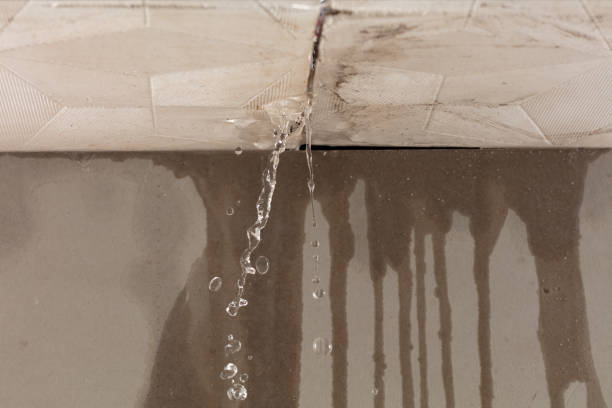Professional Water Damage Inspection technician working in St Columbans, NE
